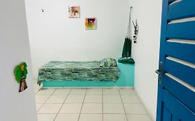 La Casita Verde